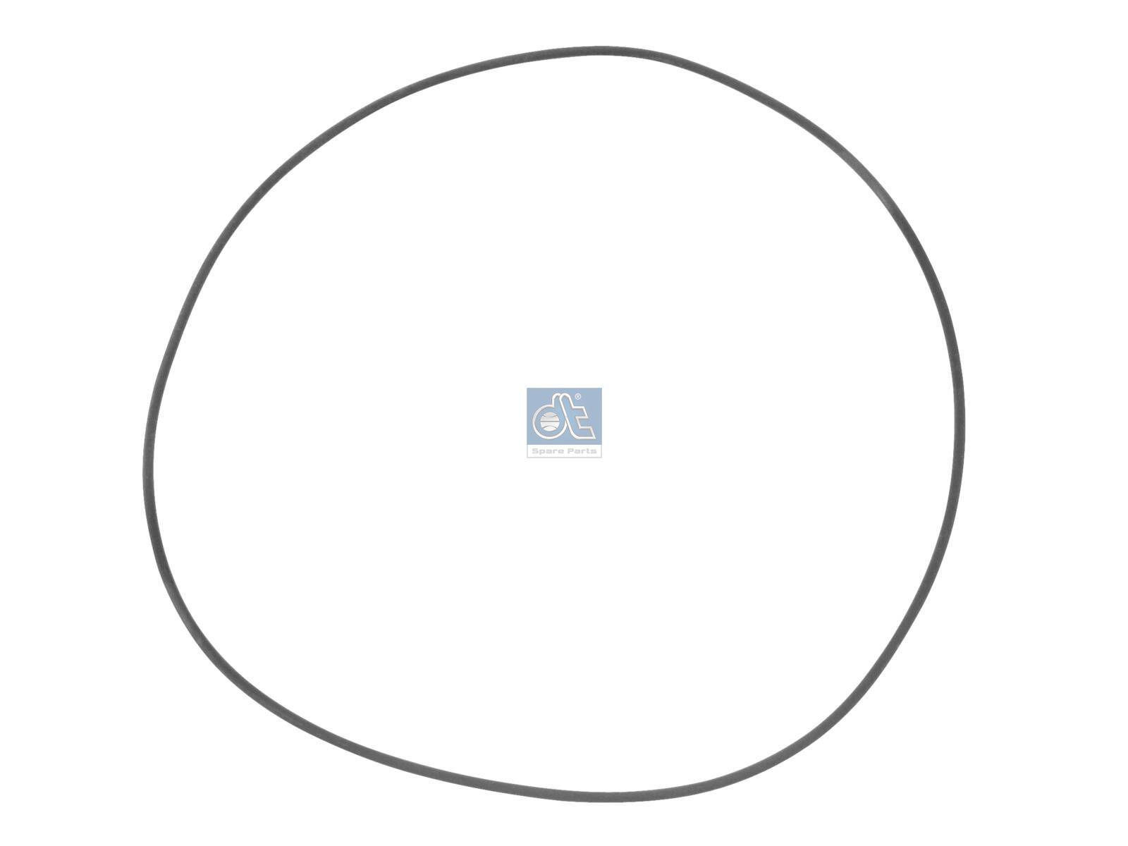 DT Spare Parts 3.10171 O-Ring, d: 138 mm, S: 2,1 mm passend für MAN