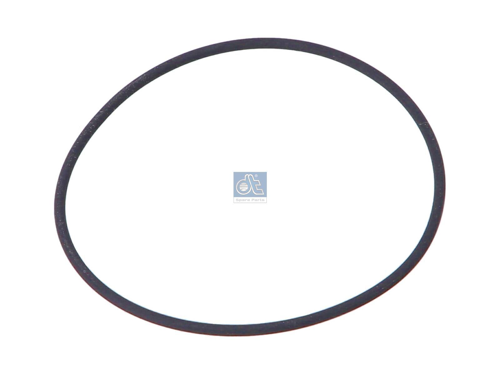 DT Spare Parts 4.20134 O-Ring, d: 100 mm, S: 3,1 mm passend für Mercedes-Benz