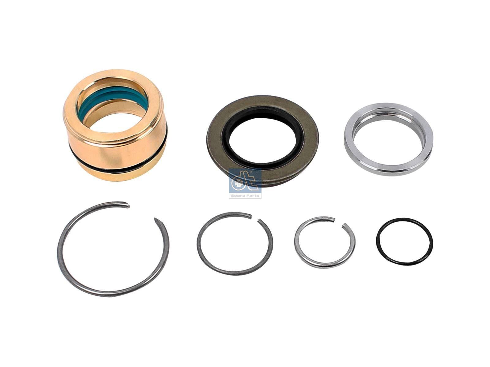 DT Spare Parts 5.96241 Reparatursatz, Hydraulikzylinder passend für DAF