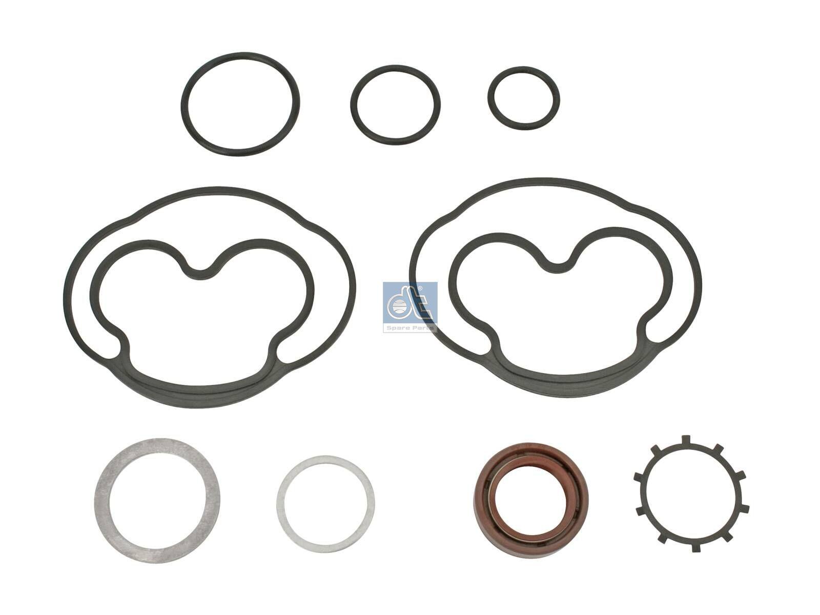 DT Spare Parts 6.91451 Reparatursatz, Lenkhilfepumpe passend für Renault