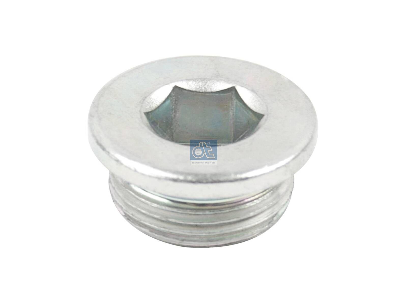 DT Spare Parts 7.50610 Ölablassschraube, M22 x 1,5, L: 13 mm passend für Multimarken