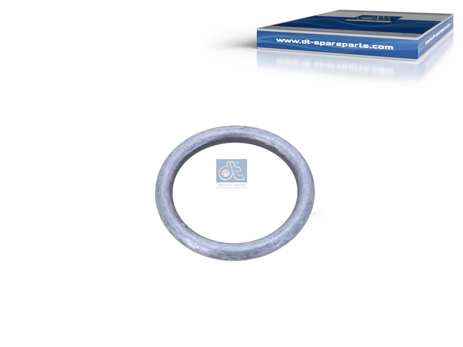DT Spare Parts 7.56041 O-Ring, d: 21 mm, S: 3 mm passend für Iveco