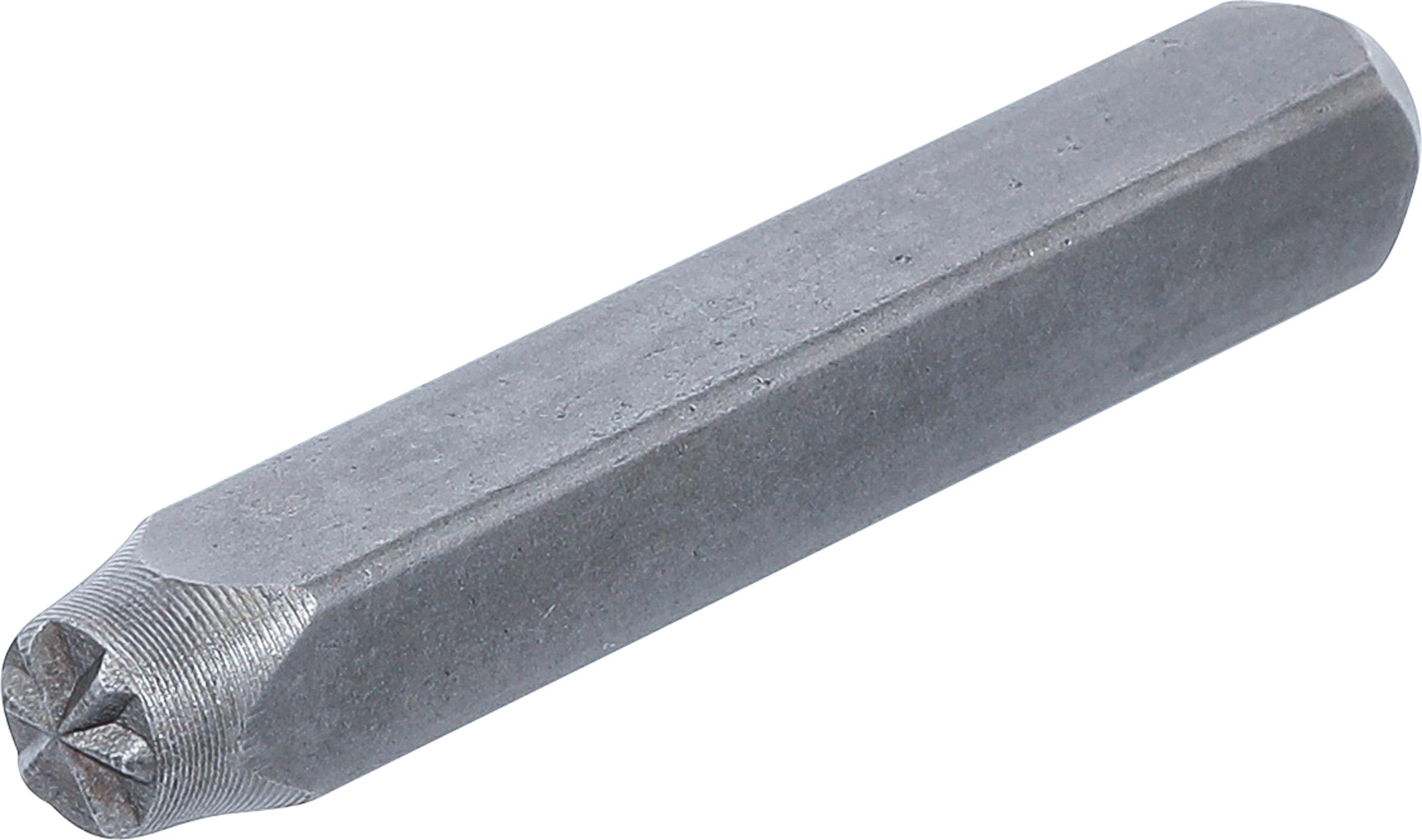 Einschlagstern | 6 mm BGS2050