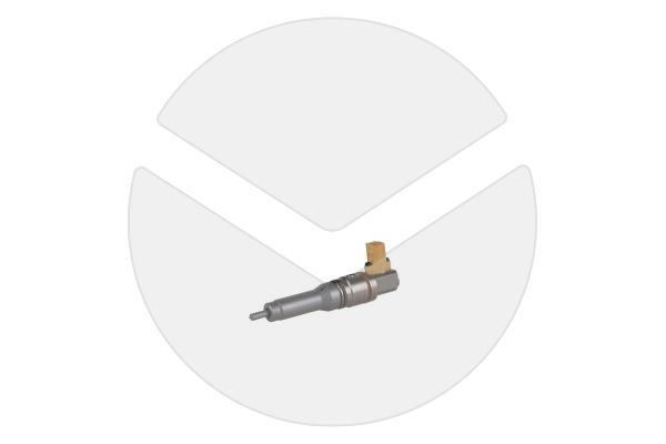 Einspritzdüse (Austausch) DAF 2005596