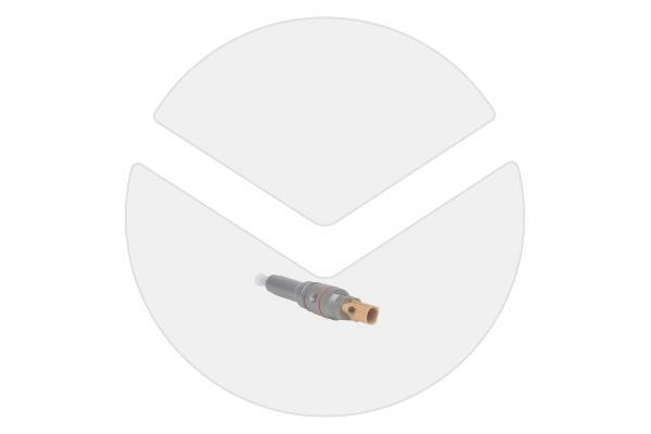 Einspritzdüse (Austausch) DAF 2047600