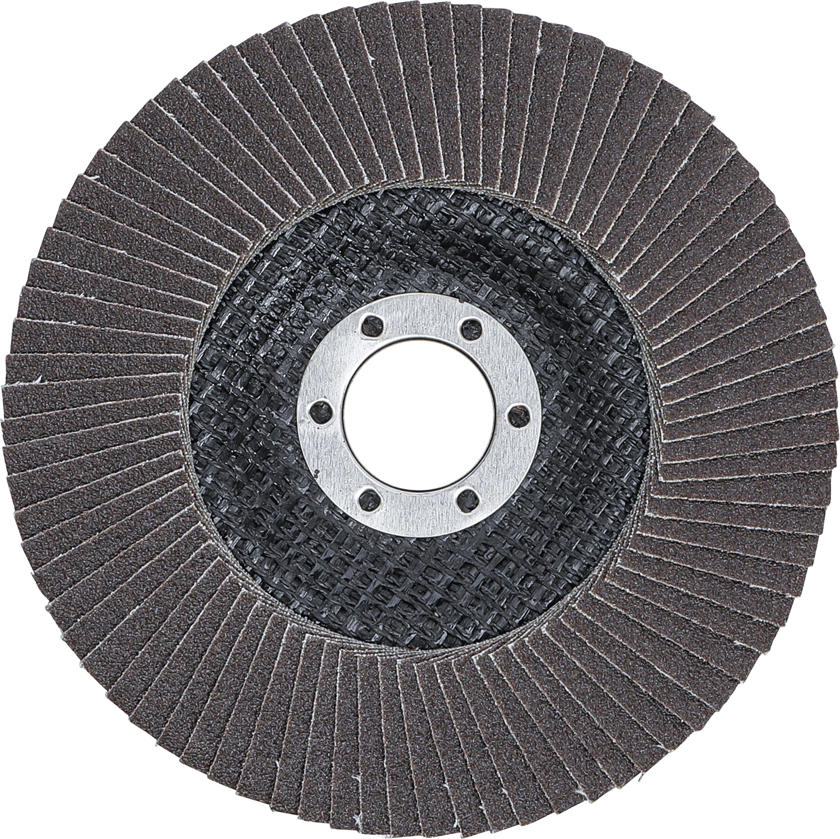 Fächer-Schleif-Scheibe | Ø 125 mm | K 120 BGS3977