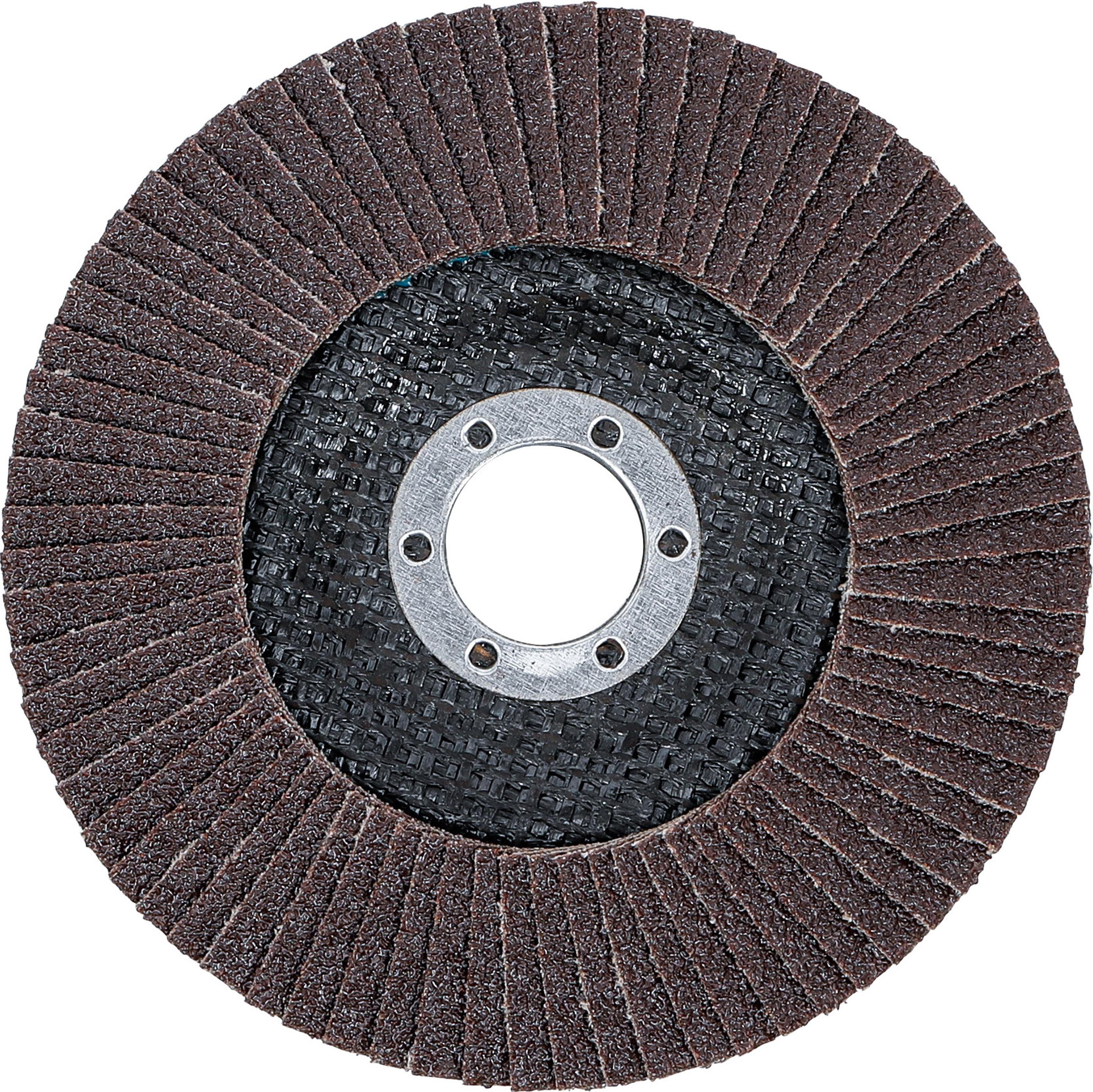 Fächer-Schleif-Scheibe | Ø 125 mm | K 80 BGS3976