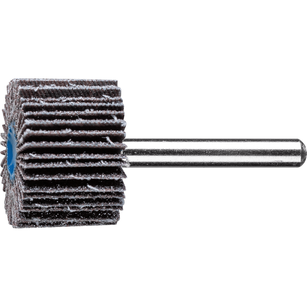 FAECHERSCHLEIFER F 3020/6 SIC  60 4007220102299