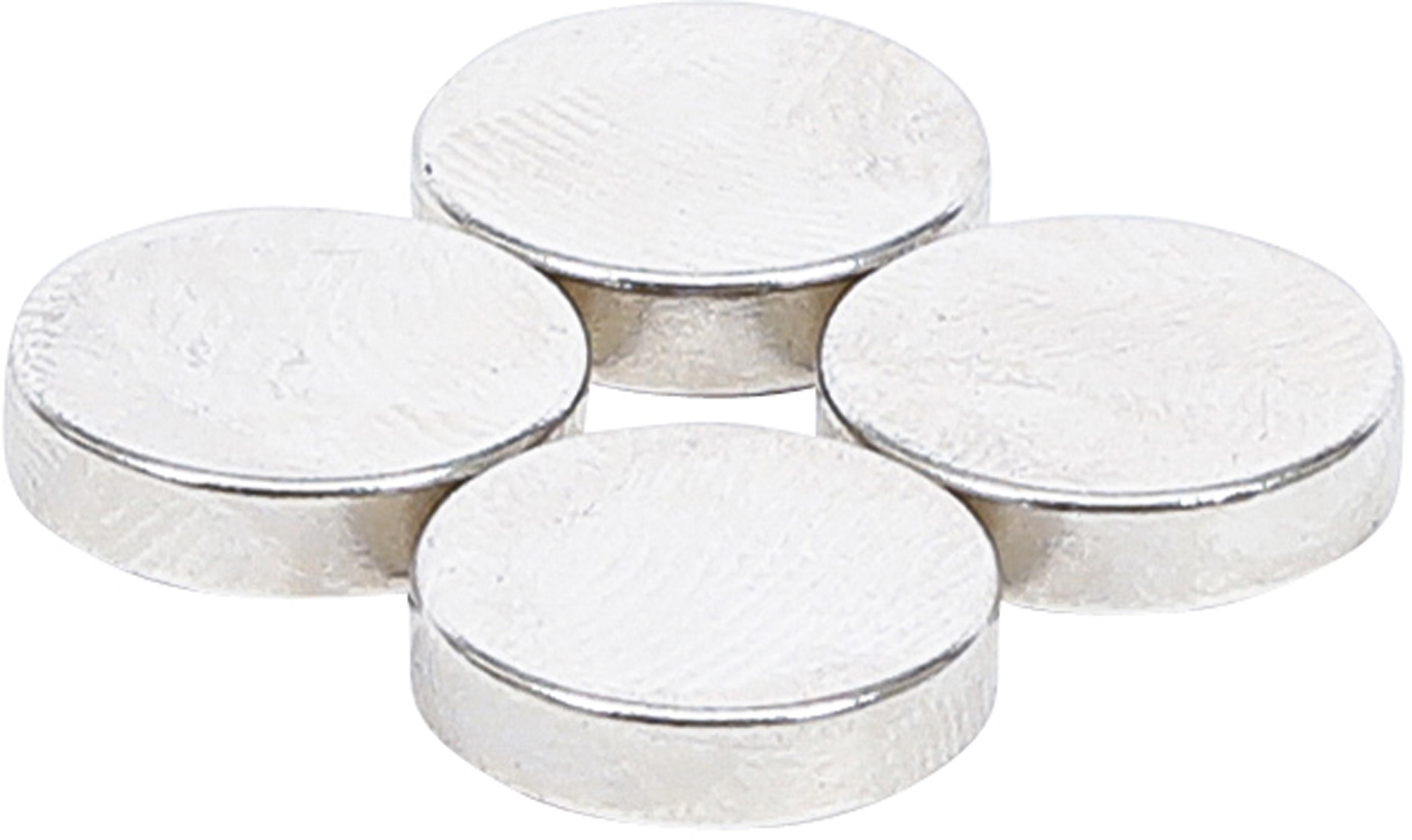 Magnet-Satz | extra stark | Ø 12 mm | 4-tlg. BGS79909