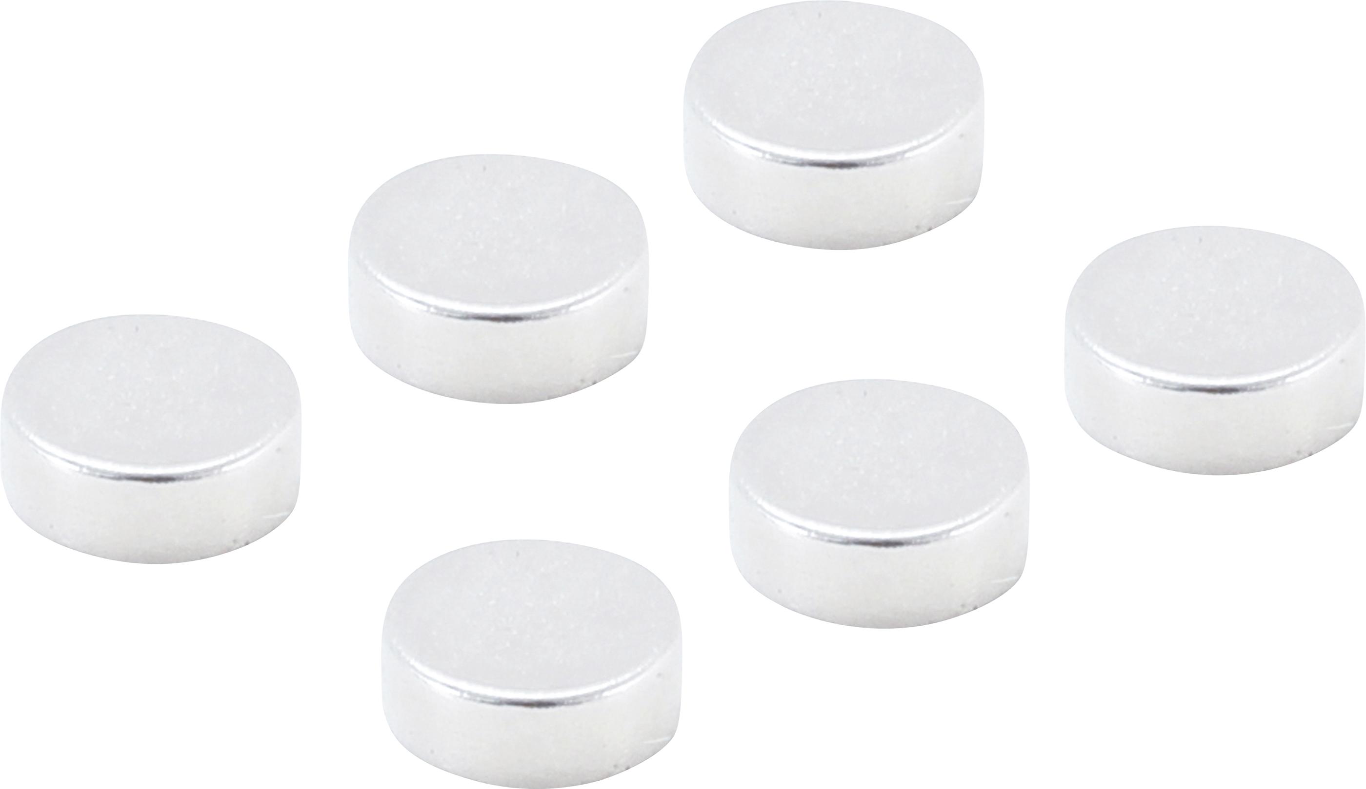 Magnet-Satz | extra stark | Ø 8 mm | 6-tlg. BGS79907