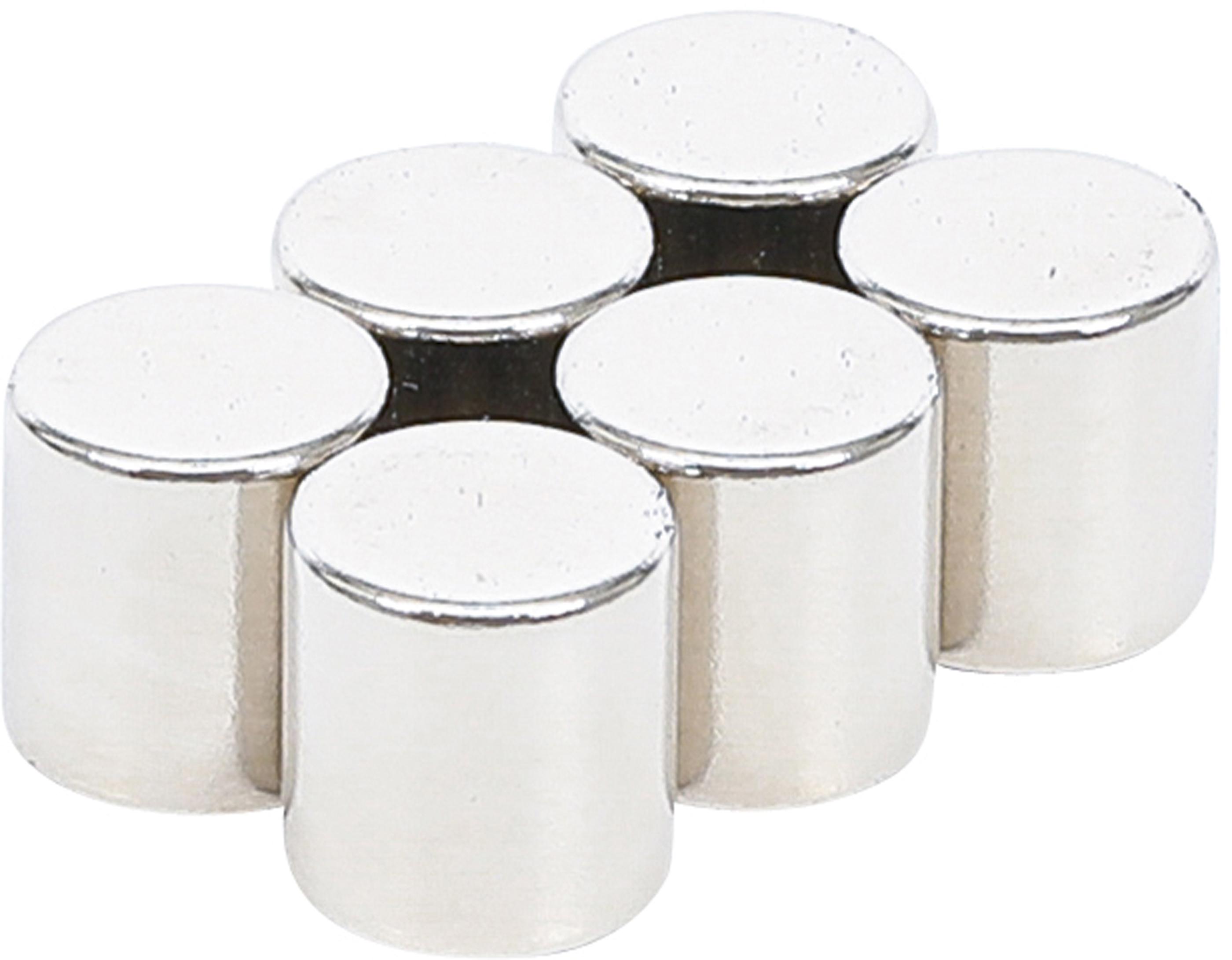 Magnet-Satz | extra stark | Ø 9,5 mm | 6-tlg. BGS79919