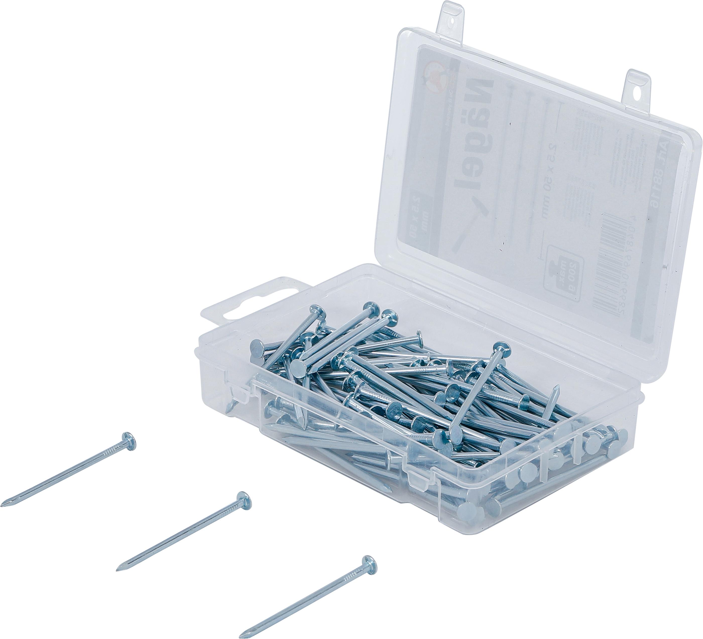 Nägel-Sortiment | 200 g | 2,5 x 50 mm BGS88116