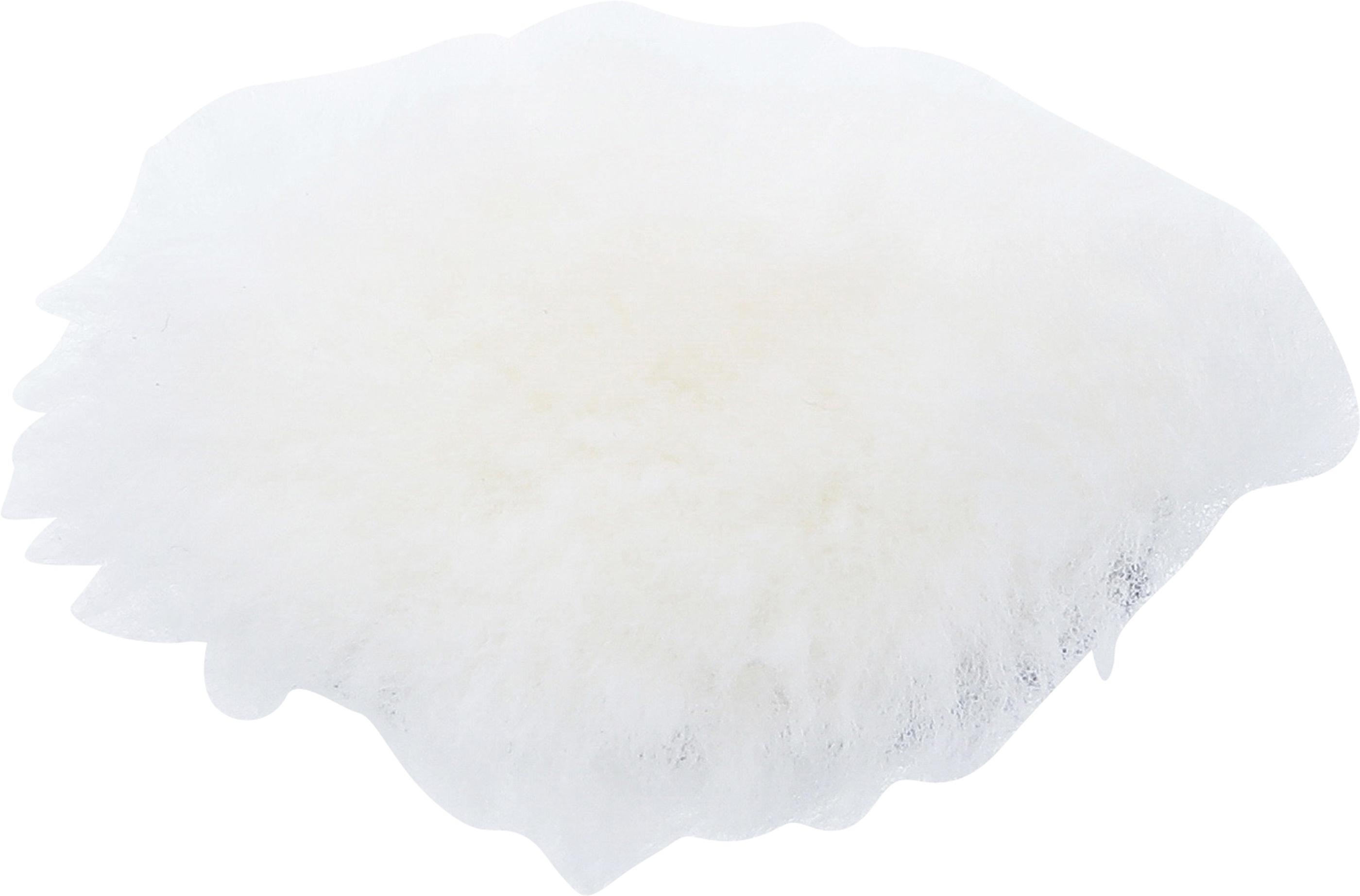 Polierhaube | Ø 75 mm BGS74479