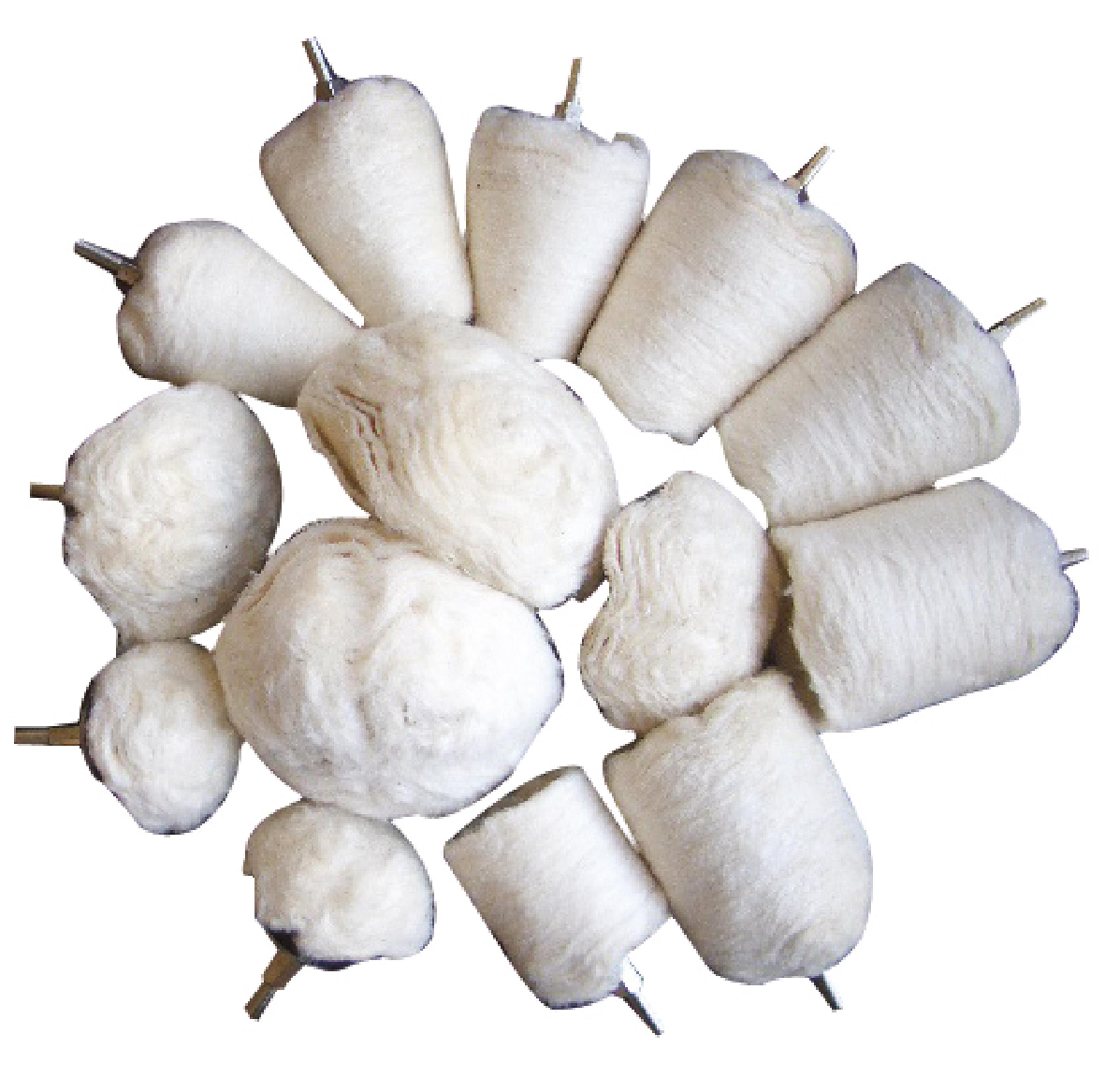 Polierköpfe-Sortiment | Antrieb 6,3 mm (1/4") | 14-tlg. BGS3995