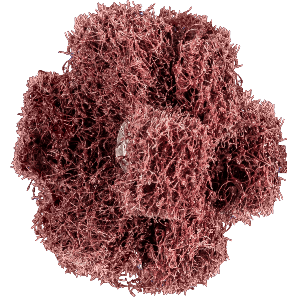 POLINOX-SCHLEIFSTERNE PNST 38-3 A 80 4007220899229