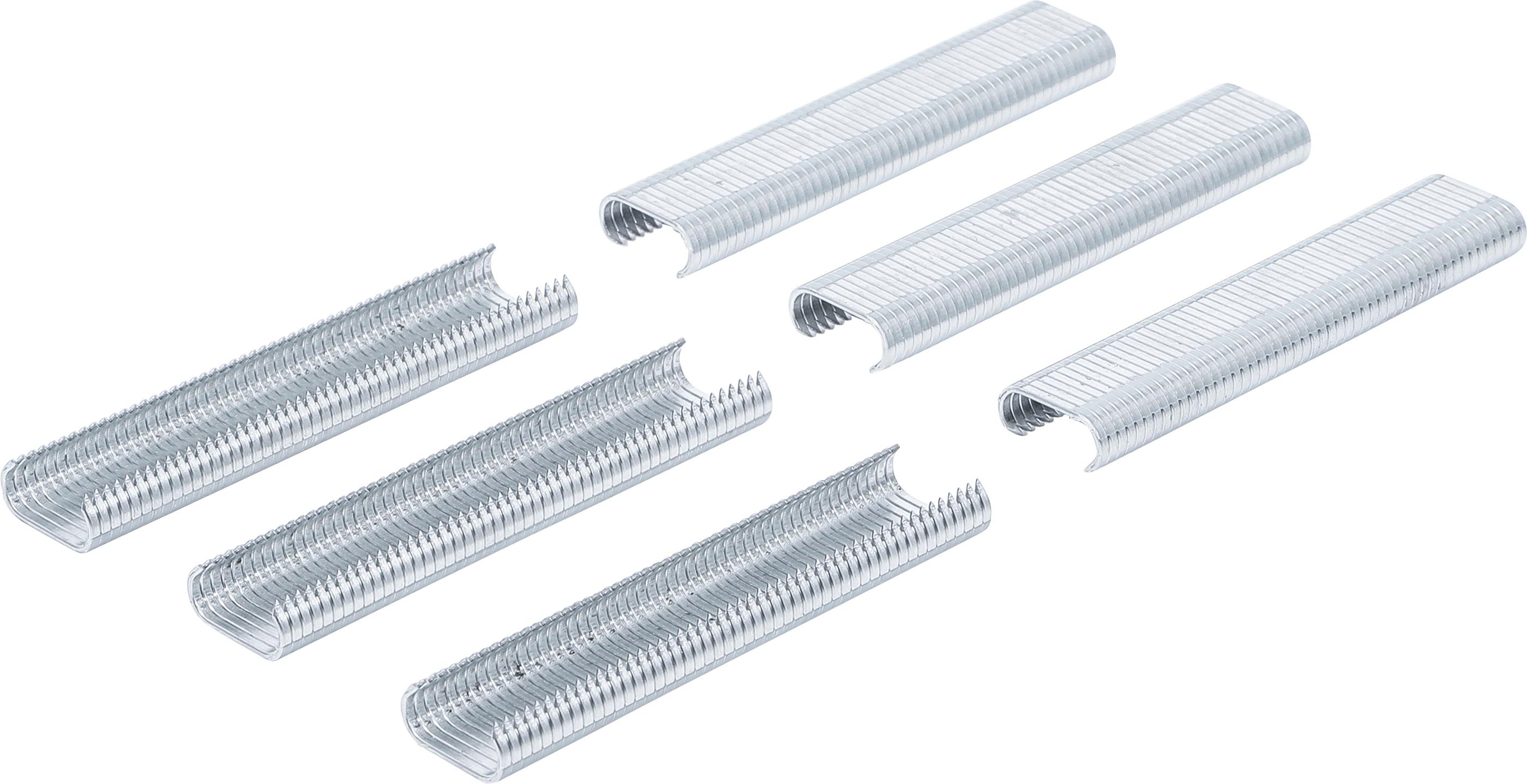 Polster-/ Zaunring-Satz | 300-tlg. BGS70335