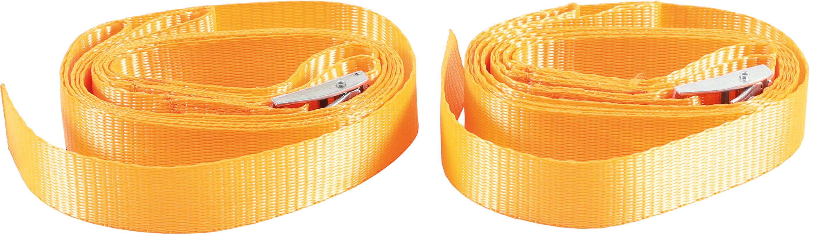 Tragegurt für Pflanzenkübel | 2-tlg. BGS80824