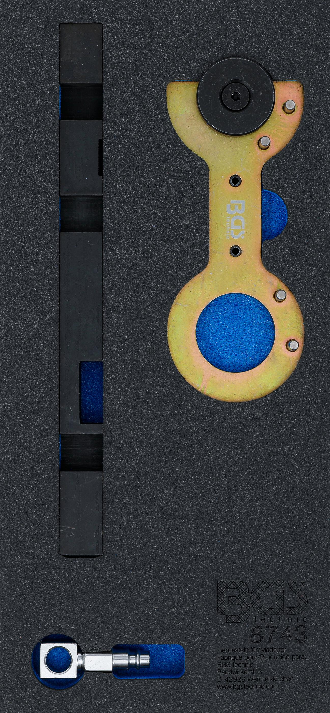 Werkstattwageneinlage 1/3: Doppelvanos-Einstellwerkzeug-Satz für BMW M52TU / M54 / M56 BGS8743