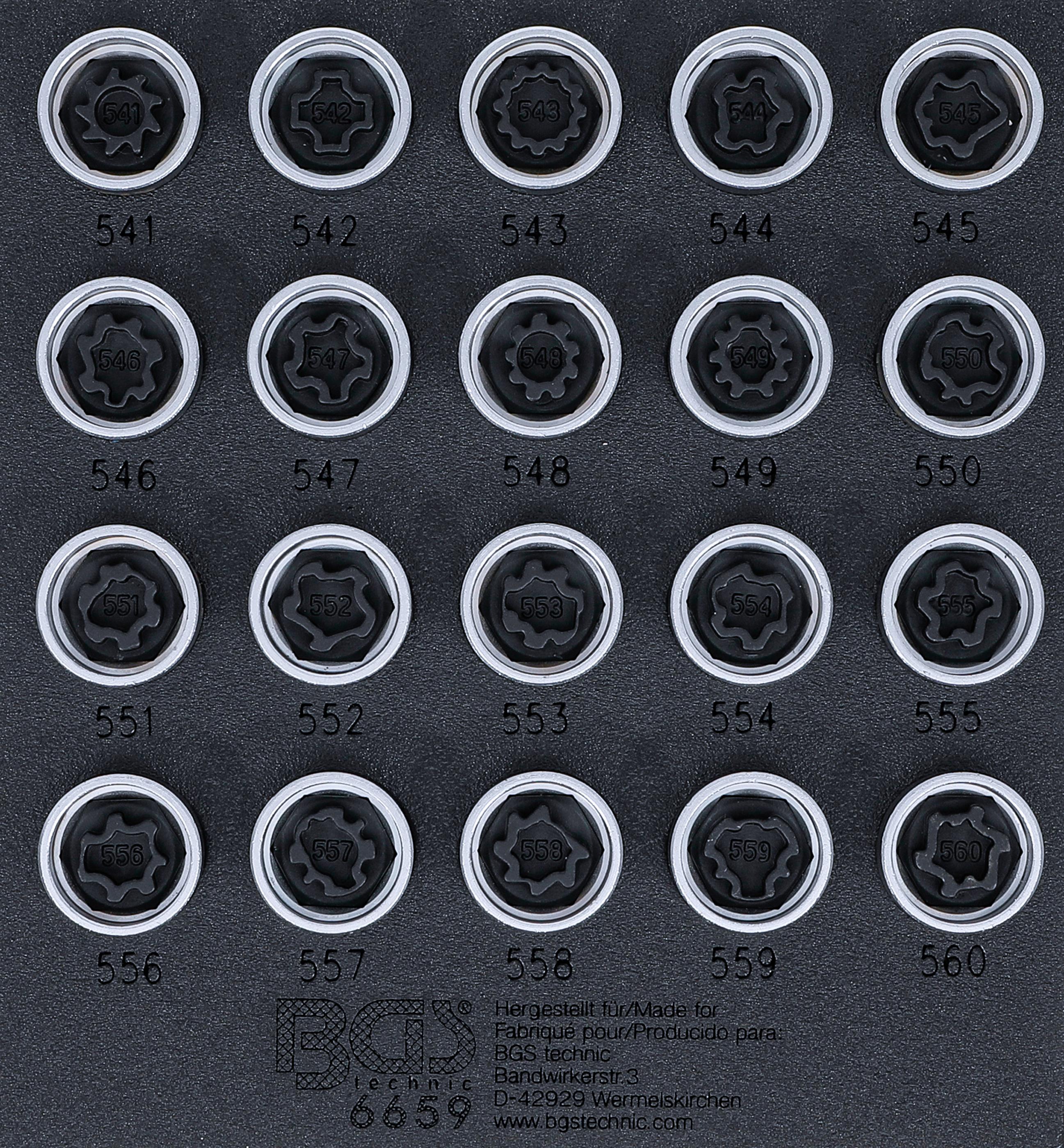 Werkstattwageneinlage 1/6: Felgenschloss-Werkzeug-Satz für VAG | 20-tlg. BGS6659