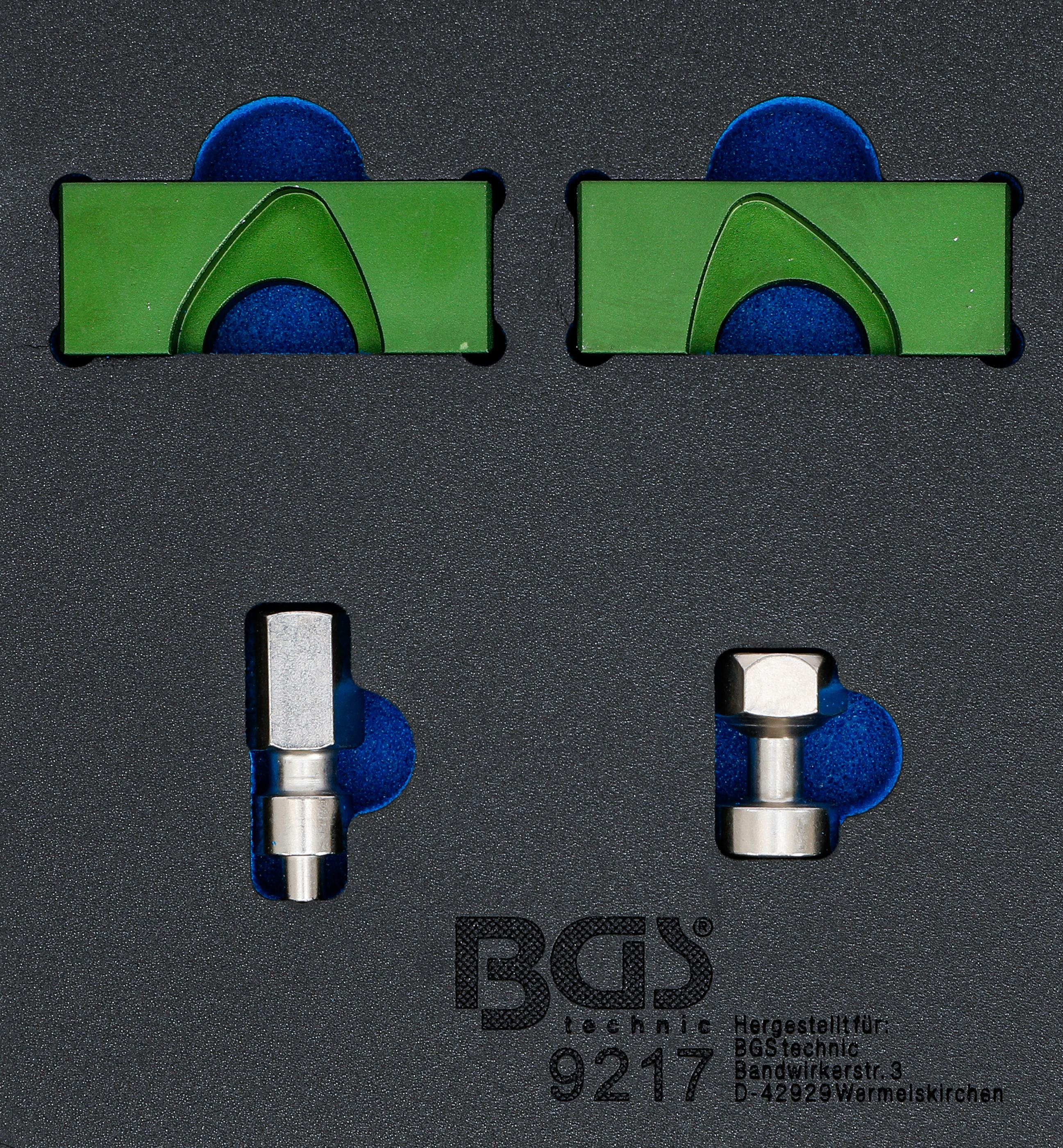 Werkstattwageneinlage 1/6: Motor-Einstellwerkzeug-Satz | für Alfa Romeo 2.0 JTS BGS9217